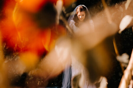 Wedding Photography at Cissbury Barns