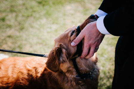 Stratton Court Barn Wedding Photography by Fresh Shoot Studios